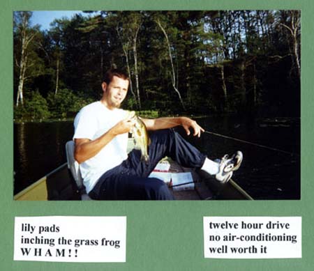 5lilyfrog