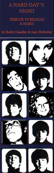 Beatles kasen graphic