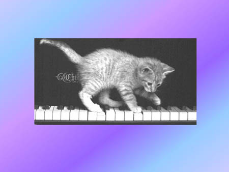 Slide10