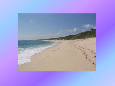 Slide16