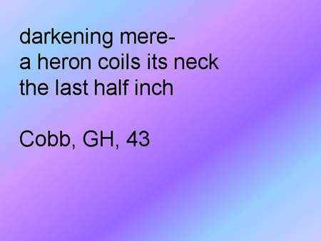 Slide17