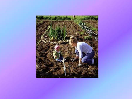 Slide20