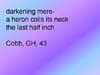 Slide17