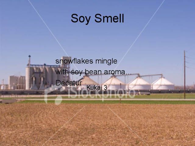 Slide05