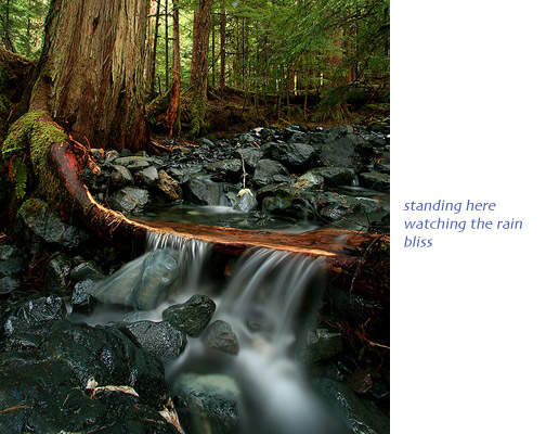 Erin Knott haiga 04