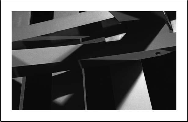 Jennifer Griebel haiga 3