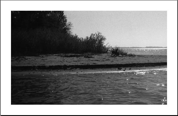 Jennifer Griebel haiga 6