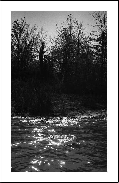 Jennifer Griebel haiga 8