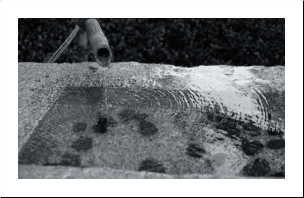 Jennifer Griebel haiga 6