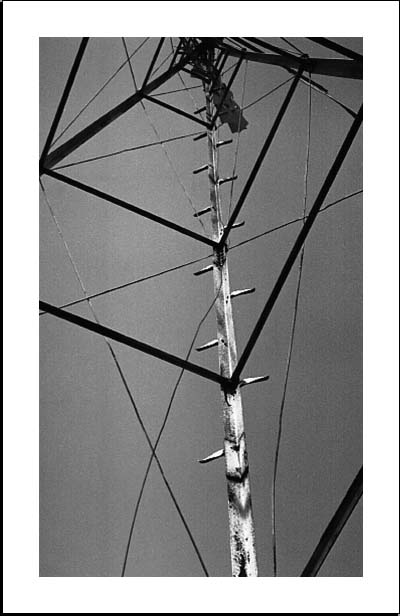 Jennifer Griebel haiga 3