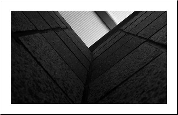 Jennifer Griebel haiga 6