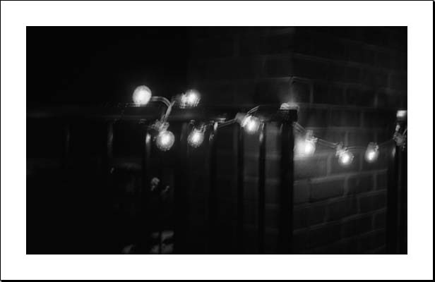 Jennifer Griebel haiga 8