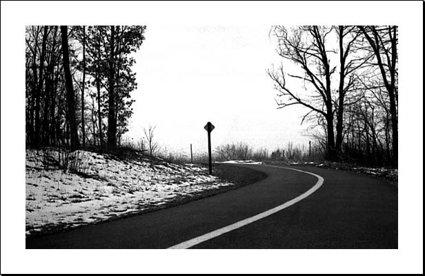 Jennifer Griebel haiga 9