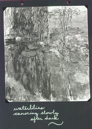 waterlilies