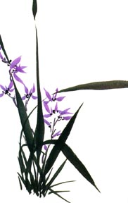 modern haiku cover 32.1