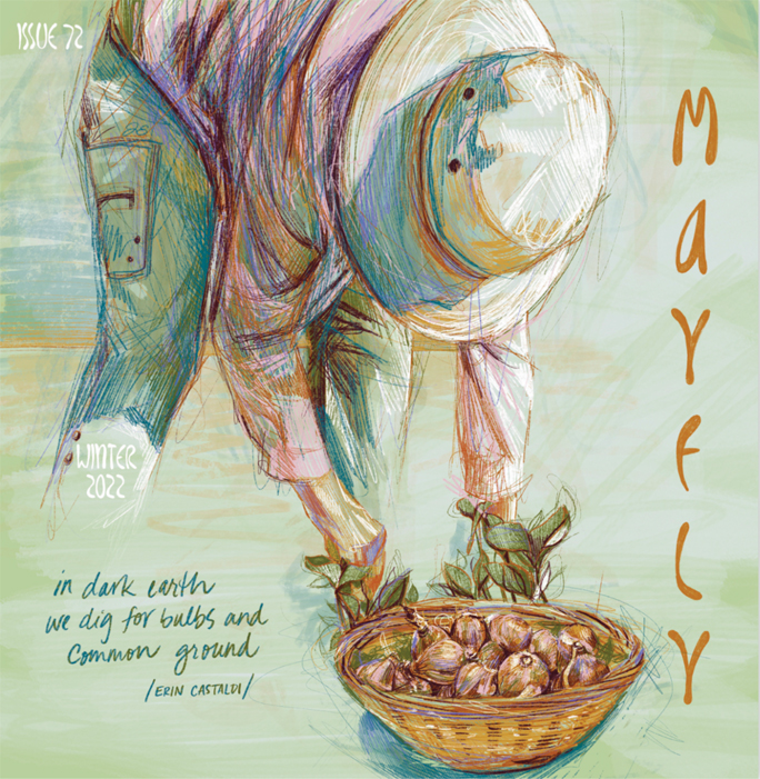 MAYFLY cover issue 72